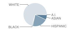 Washington Park School Student Race Distribution