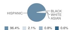 Robert Waters School Student Race Distribution