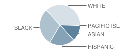 Battle Hill School Student Race Distribution