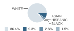 Emil A Cavallini School Student Race Distribution