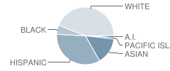 Ventnor Elementary School Student Race Distribution