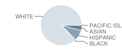 Verona High School Student Race Distribution