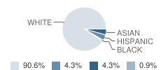 Theunis Dey School Student Race Distribution