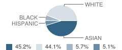 Village School Student Race Distribution