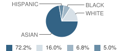 Town Center Elementary School -Plainsboro Student Race Distribution