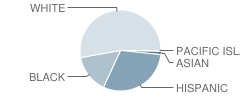 Wildwood High School Student Race Distribution