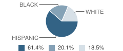 Glenwood Ave Elementary School Student Race Distribution