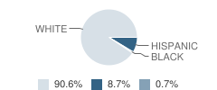 Winfield Township (Twp) School Student Race Distribution