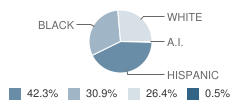 Woodbine Elementary School Student Race Distribution