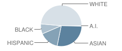 Mawbey Street School Student Race Distribution