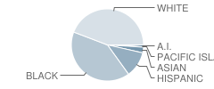 West End Memorial Elementary School Student Race Distribution