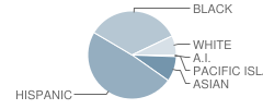 Woodlynne School Student Race Distribution