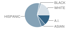 Sequoyah School Student Race Distribution