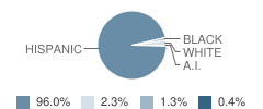 Alamosa Elementary School Student Race Distribution