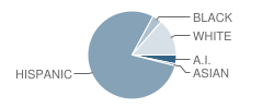 Albuquerque High School Student Race Distribution