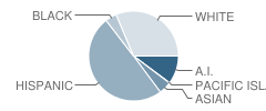 Chelwood Elementary School Student Race Distribution