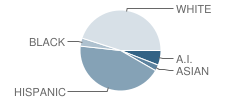 Collet Park Elementary School Student Race Distribution