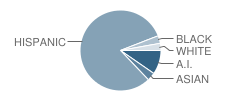 Emerson Elementary School Student Race Distribution