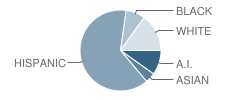 Highland High School Student Race Distribution