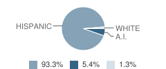 La Luz Elementary School Student Race Distribution