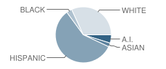 Matheson Park Elementary School Student Race Distribution