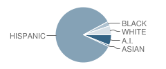 West Mesa High School Student Race Distribution