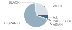 Marie M Hughes Elementary School Student Race Distribution