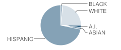 Dennis Chavez Elementary School Student Race Distribution