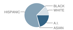 Bernalillo Middle High School Student Race Distribution