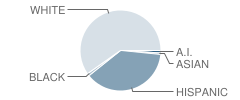 P.r. Leyva Middle School Student Race Distribution