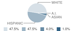 Cimarron High School Student Race Distribution