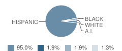 Chimayo Elementary School Student Race Distribution