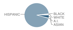 Vigil Middle School Student Race Distribution