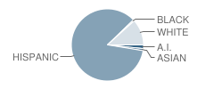 Robertson High School Student Race Distribution