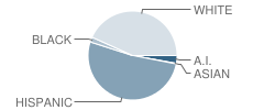 Moriarty Elementary School Student Race Distribution