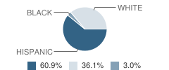 Mountainair Elementary School Student Race Distribution