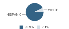 Questa Junior High School Student Race Distribution