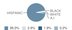 Agua Fria Elementary School Student Race Distribution
