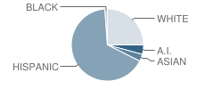 Carlos Gilbert Elementary School Student Race Distribution