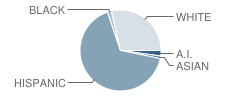 Gonzales Elementary School Student Race Distribution