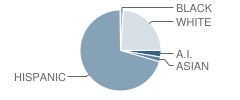 Santa Fe High School Student Race Distribution