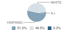 Wilferth Middle School Student Race Distribution