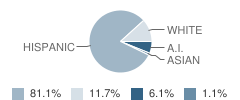 Taos Middle School Student Race Distribution