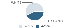 Tatum High School Student Race Distribution