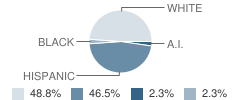 Tatum Jr High School Student Race Distribution