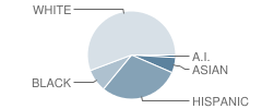 Lyal Burkholder Middle School Student Race Distribution