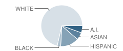 Churchill County High School Student Race Distribution