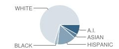 Churchill County Junior High School Student Race Distribution