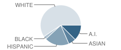 E.c. Best Elementary School Student Race Distribution