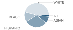 Green Valley High School Student Race Distribution